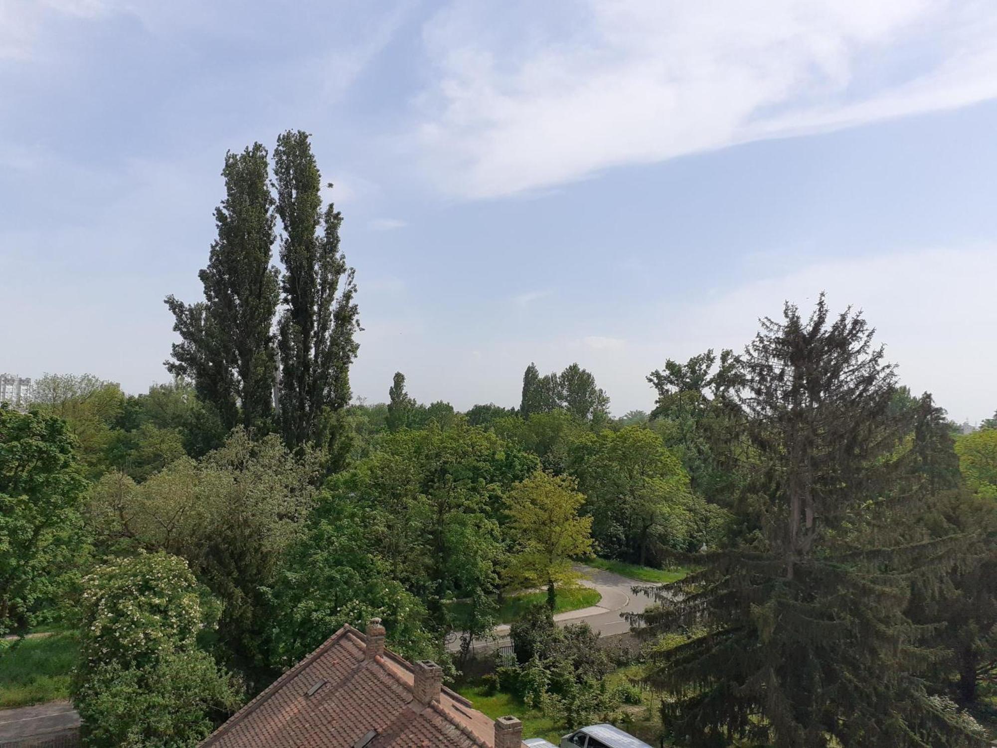 Sur Les Bords De L'ill Apartment Strasbourg